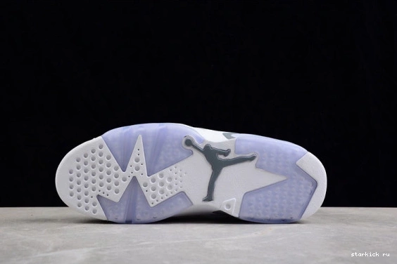 CT8529-100 Grey Cool CT8529-100 Jordan Retro 6 0309